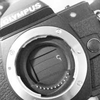 Olympus E-M10 shutter. Photo by hmx0979, dpreview.com