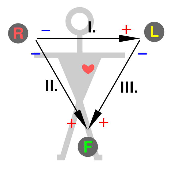 ecg-einthoven-triangle.png