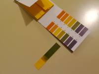 Dellwing detergente alcalino diluito 1:100 Dellwing detergente alcalino diluito 1:100