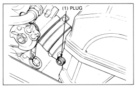 Carburetors synchronization: Plug